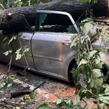 0364306copaccazutmasinaISUCrisana